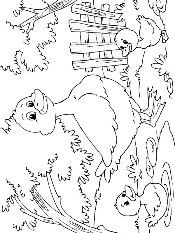 Ducklings with mother duck Coloring page