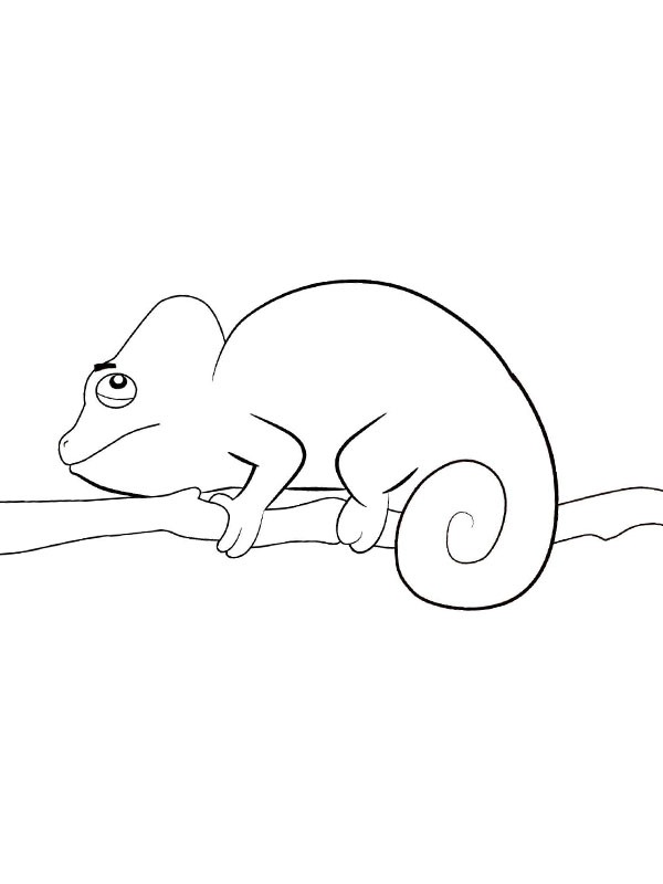 Simple Chameleon Coloring page