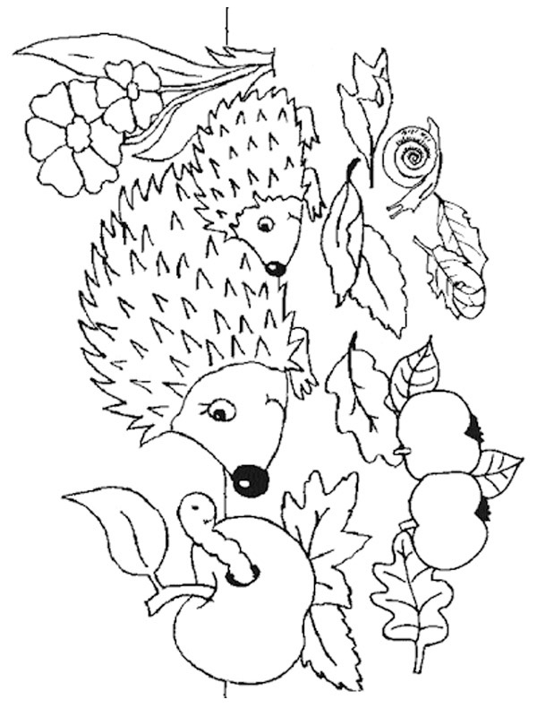 Hedgehogs Coloring page