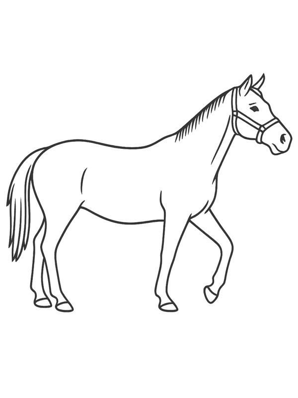 Thoroughbred Coloring page