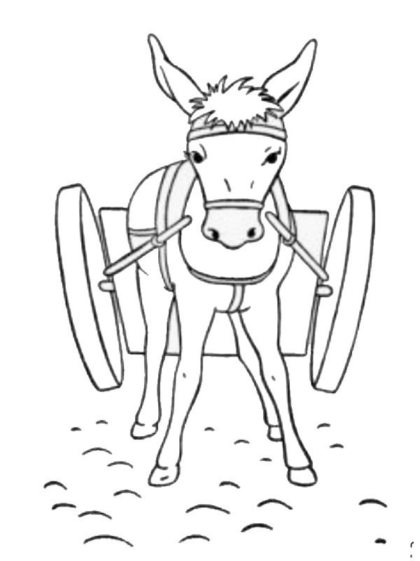 Donkey Coloring page