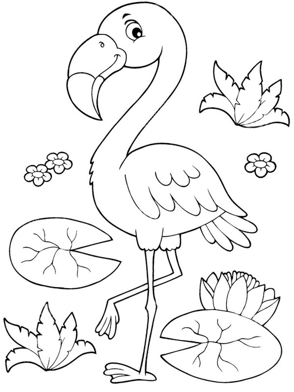 Flamingo Coloring page