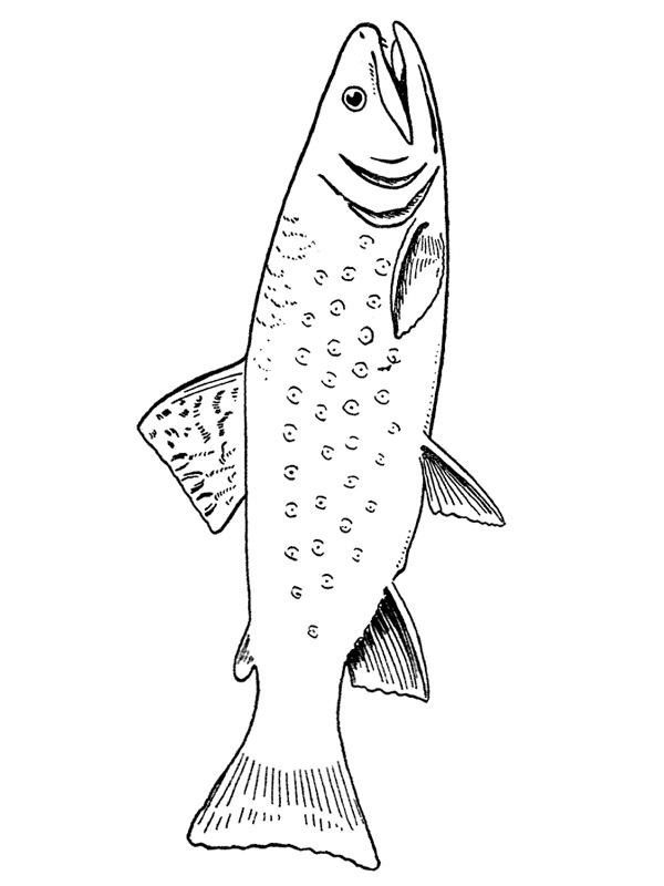 Trout Coloring page