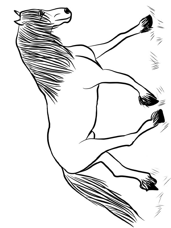 friesian horse Coloring page
