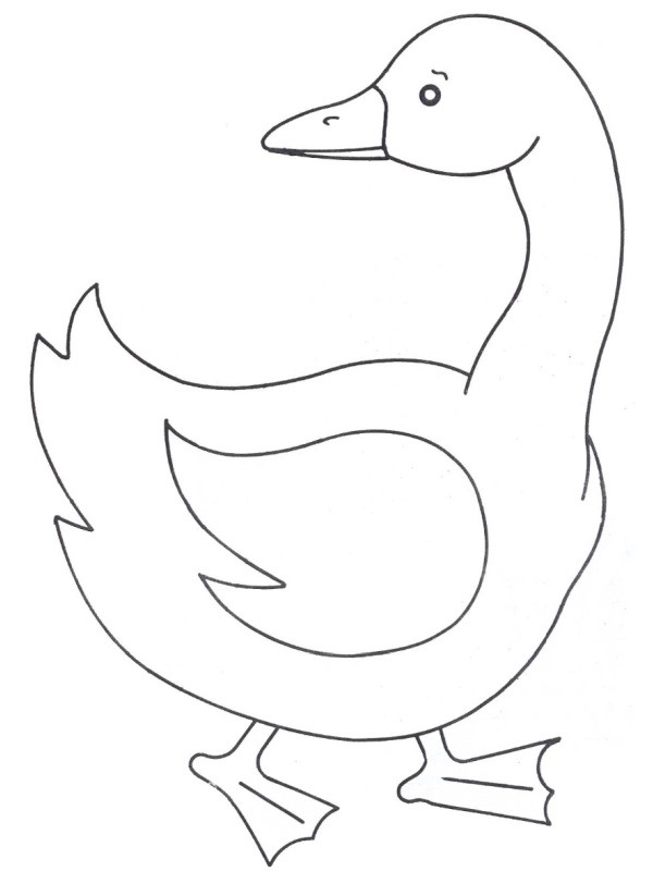 Geese Coloring page
