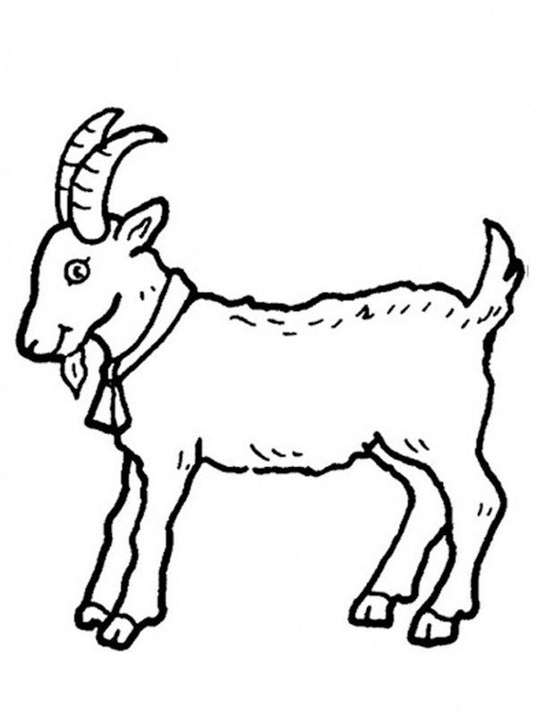 Goat Coloring page