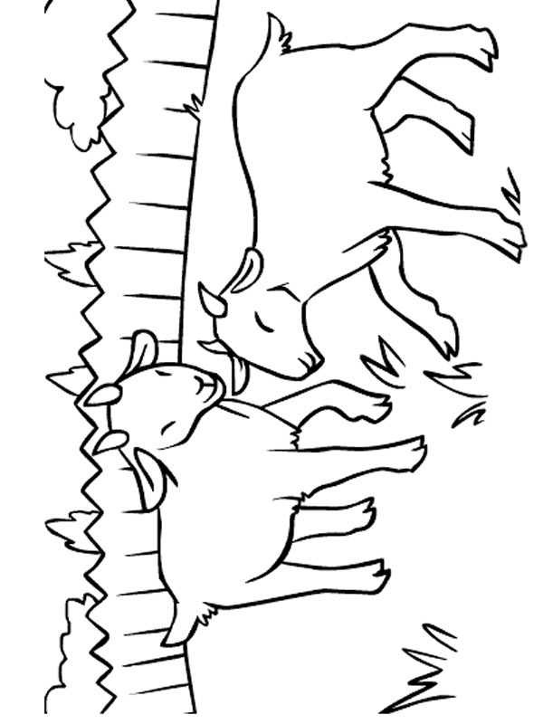 Goats in the field Coloring page