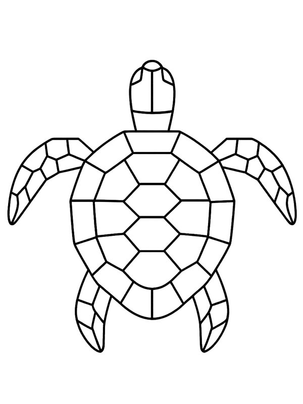 Geometric turtle Coloring page Geometric turtle Coloring page