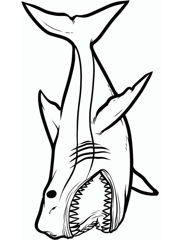 dangerious shark Coloring page