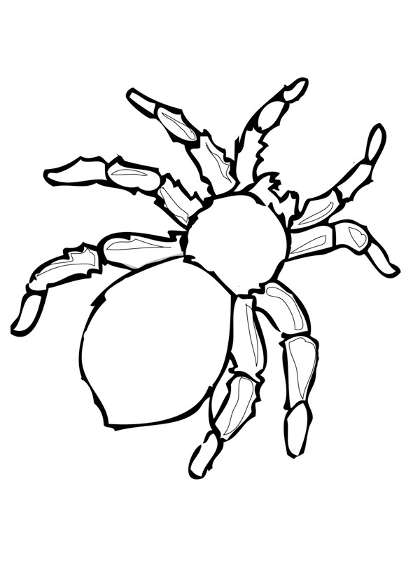 Dangerous spider Coloring page
