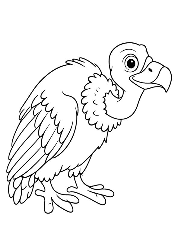 Vulture Coloring page