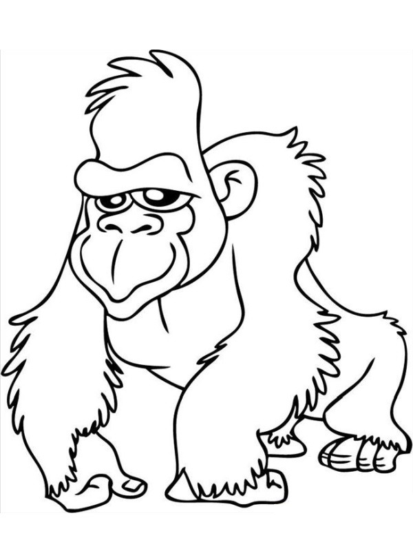 Gorilla Coloring page