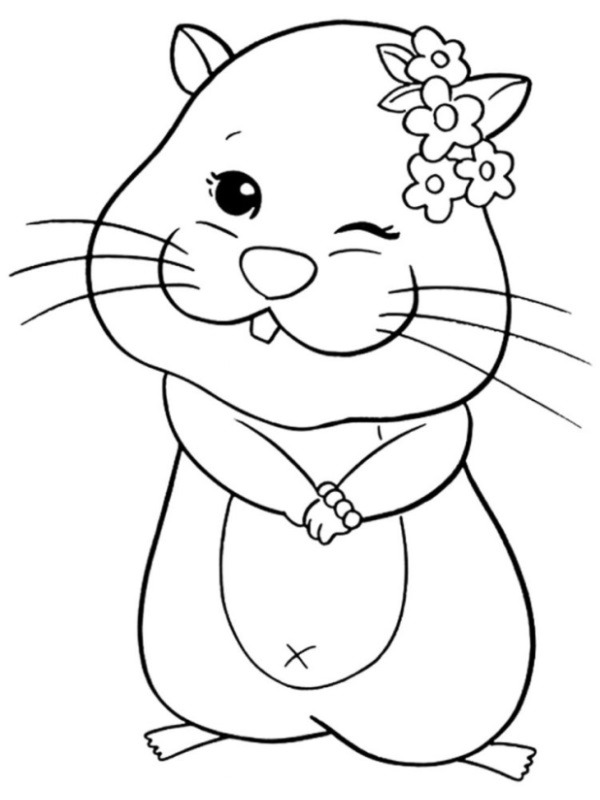 funny hamster Coloring page
