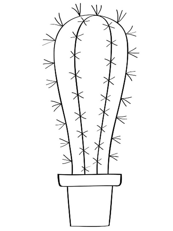 Large cactus Coloring page