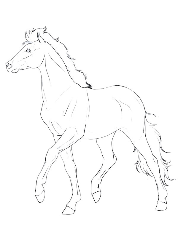Haflinger Horse Coloring page