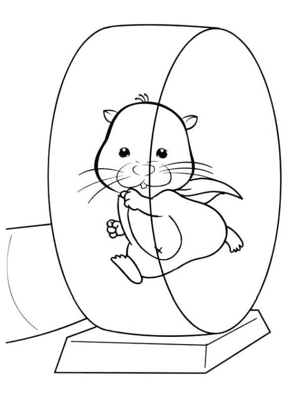 Hamster Plays Its Toy Coloring page Hamster Plays Its Toy Coloring page