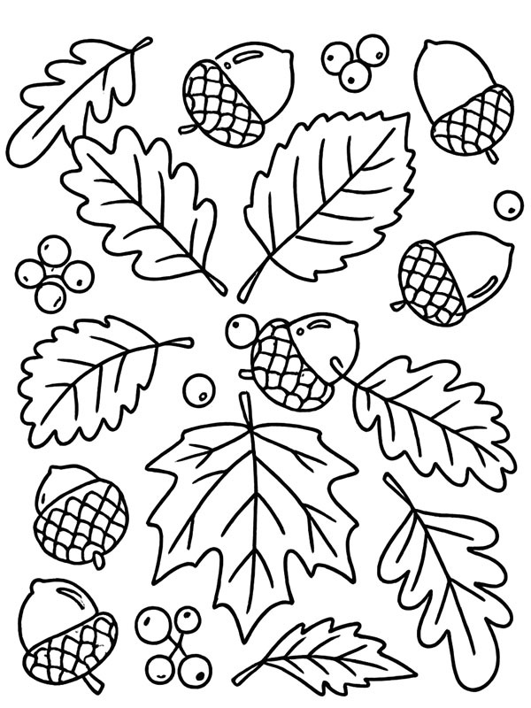 Autumn leaves and acorns Coloring page Autumn leaves and acorns Coloring page