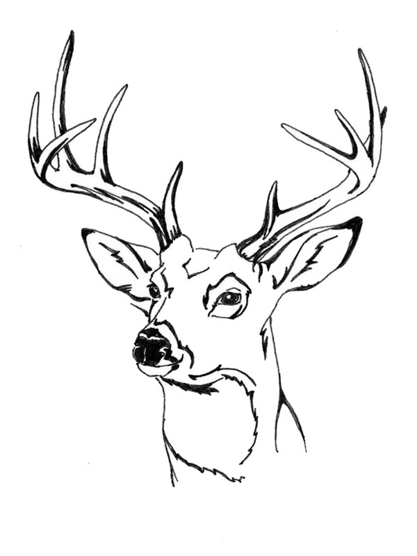Deer Head Coloring Page - Funny Coloring Pages
