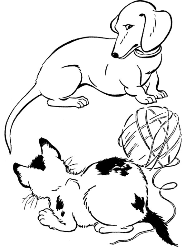 Dog and kitten Coloring page