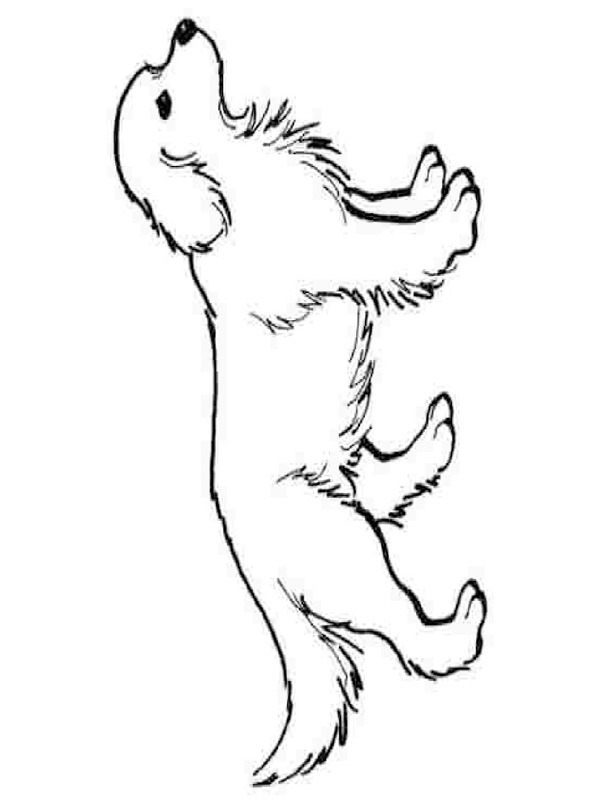 Dog Coloring page