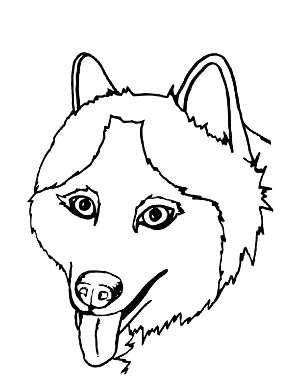 Husky Head Coloring page