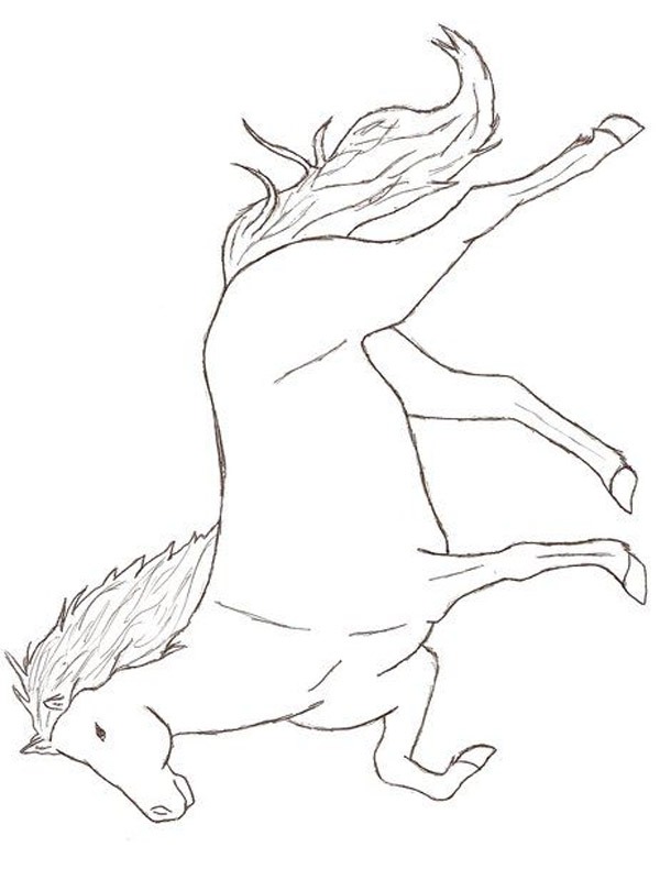 Icelandic horse Coloring page