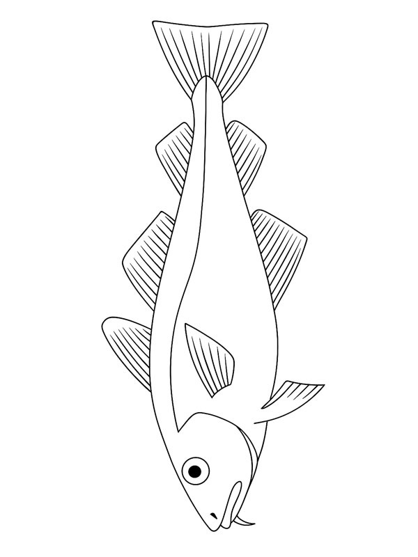 Cod Coloring page