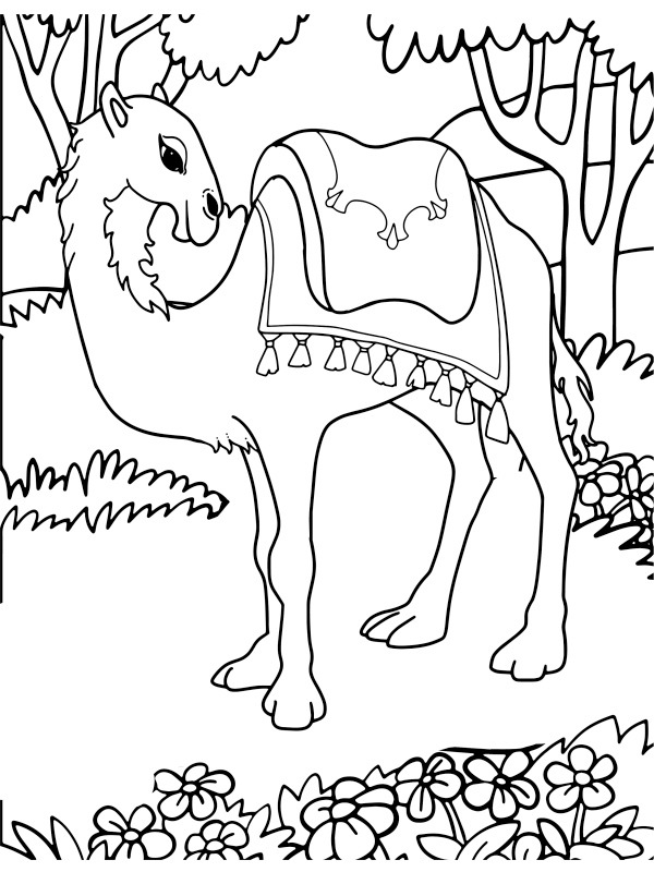 Camel in nature Coloring page