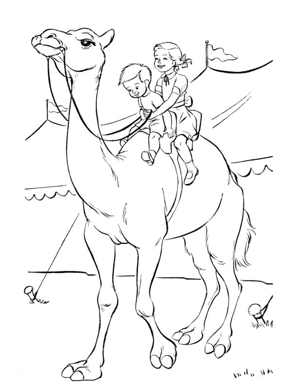 Camel in the circus Coloring page