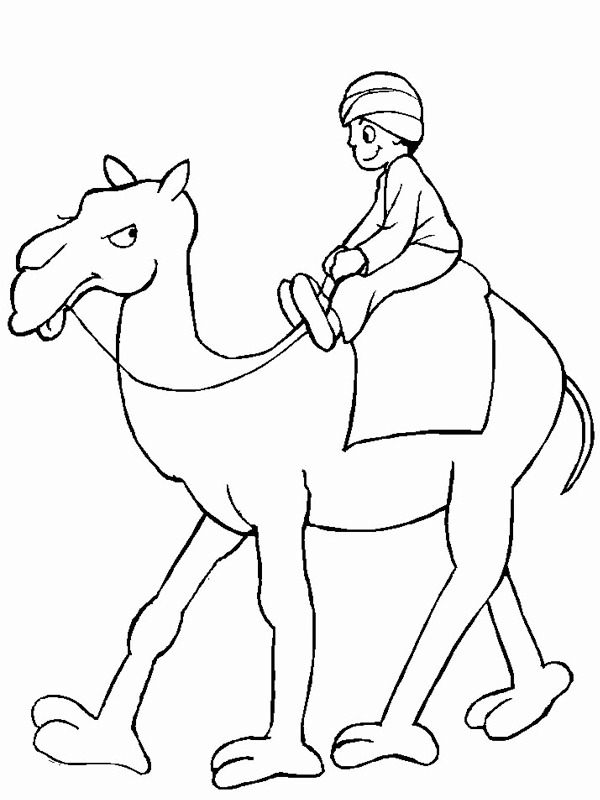 Camel Coloring page