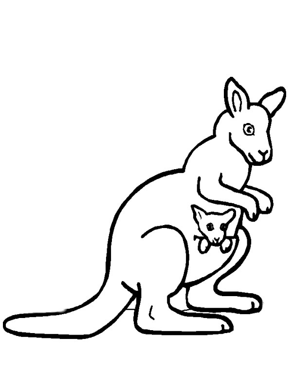 Kangaroo Coloring page