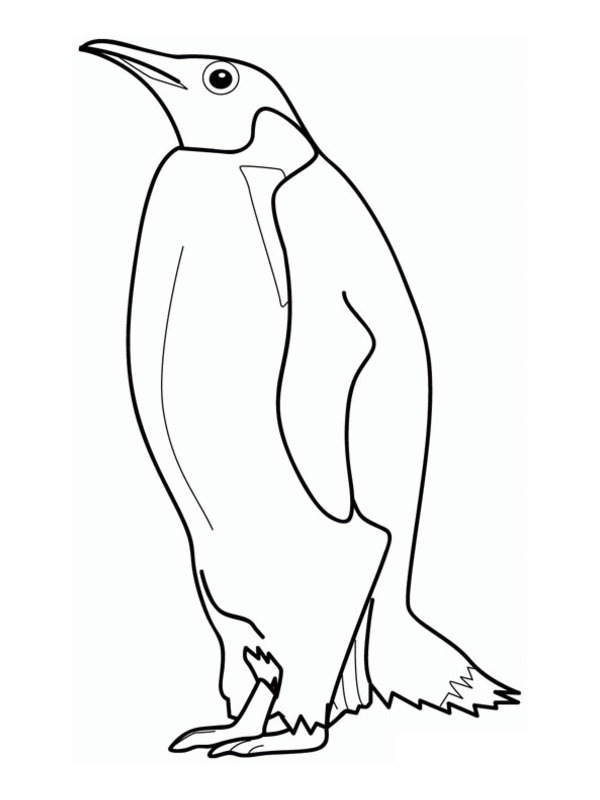 Pinguin imperial Coloring page