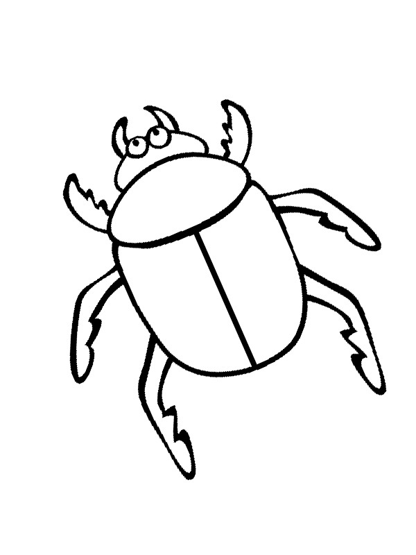 Beetle Coloring page