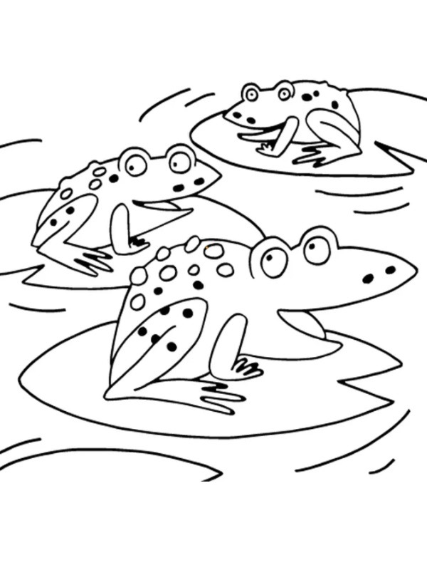 Frogs Coloring page