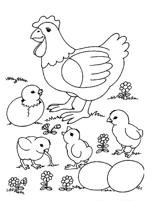 Chicken and born chicks Coloring page