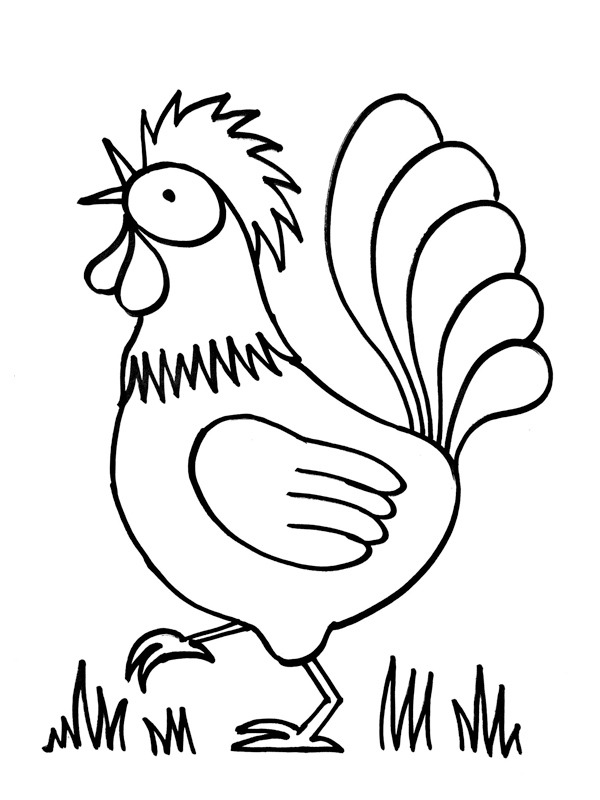 Chicken Hay Day Coloring page