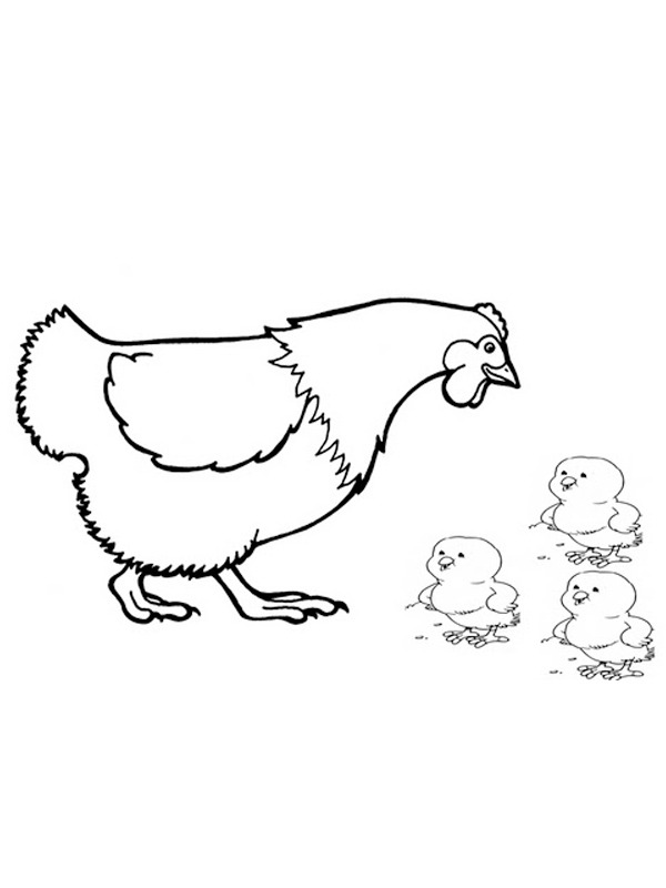 Chicken with chicks Coloring page