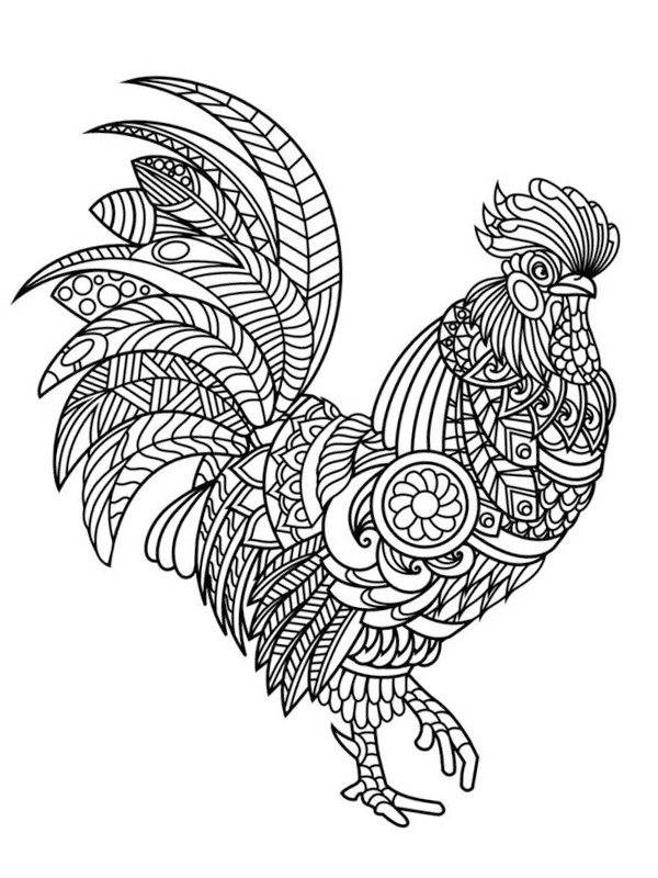 Chicken for adults Coloring page