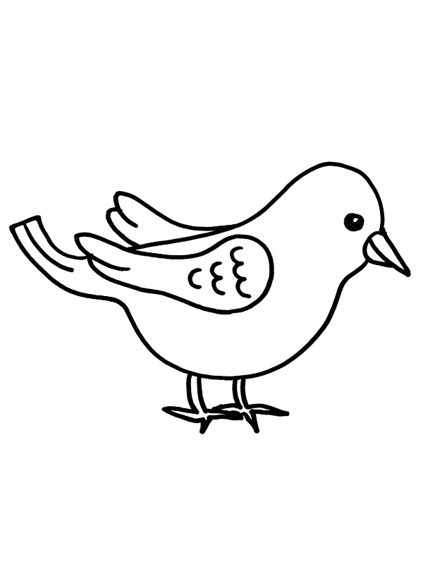 Small bird Coloring page