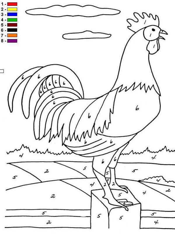 Colour by number chicken Coloring page Colour by number chicken Coloring page
