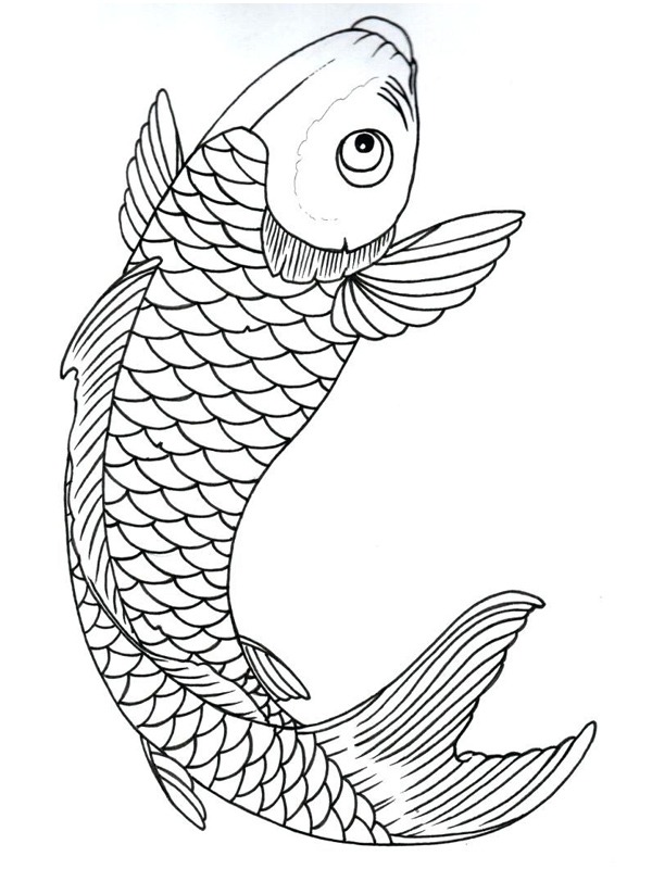 Koi fish Coloring page