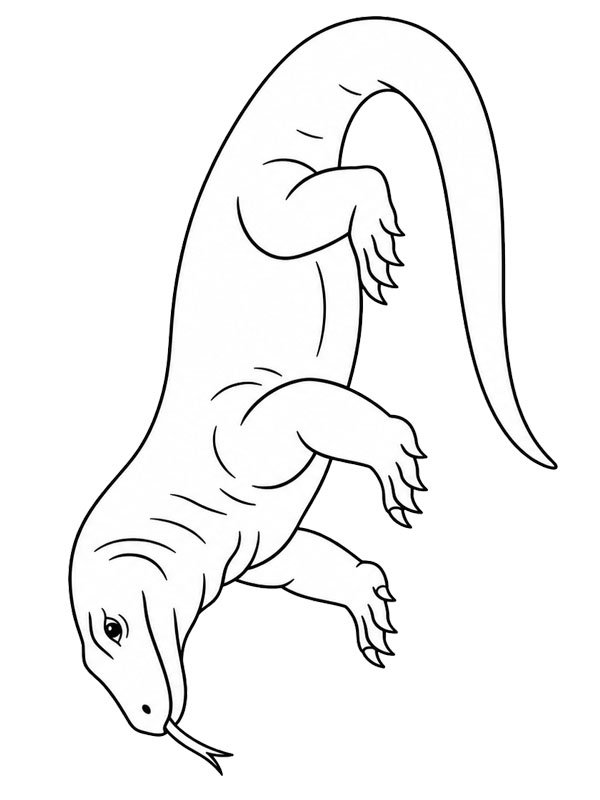 Komodo dragon Coloring page