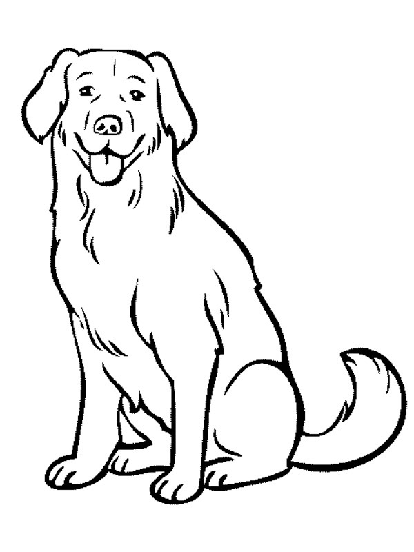 labrador dog Coloring page