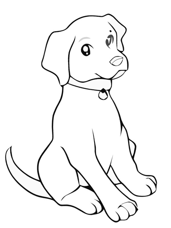 Labrador puppy Coloring page