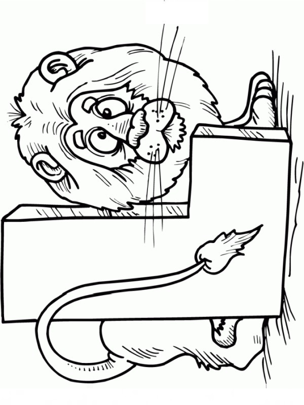 lion Coloring page