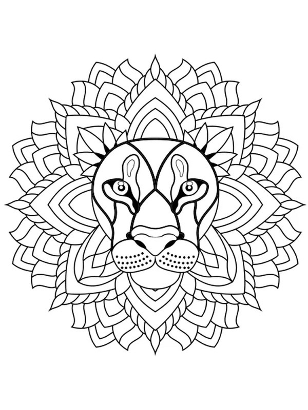 Lion mandala Coloring page