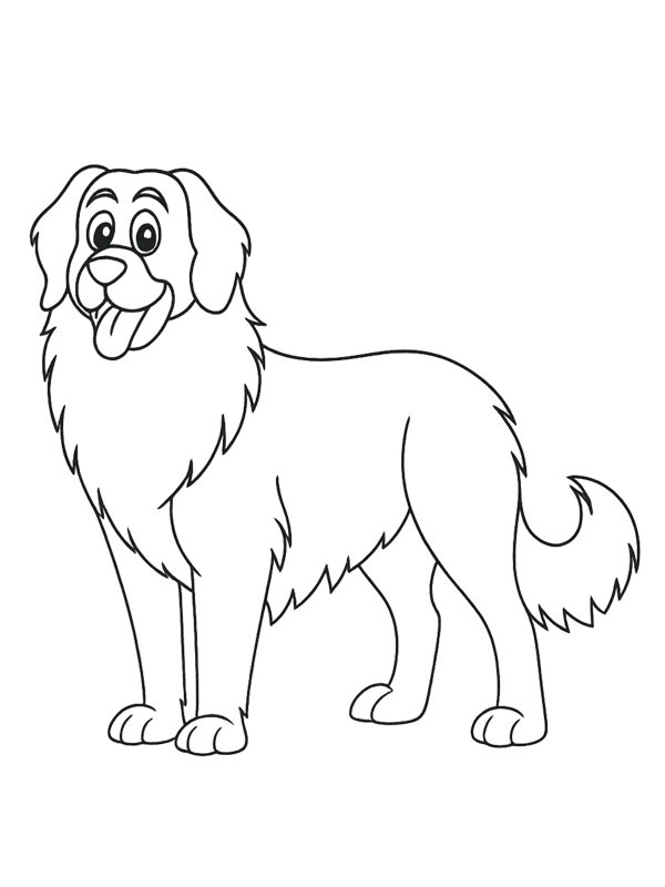 Leonberger Coloring page