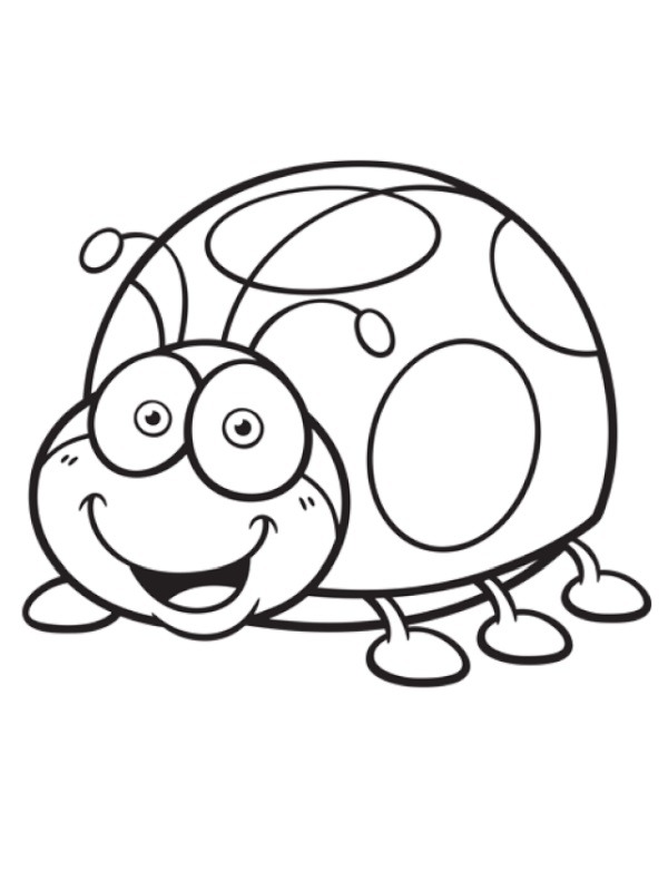 Coccinellidae Coloring page