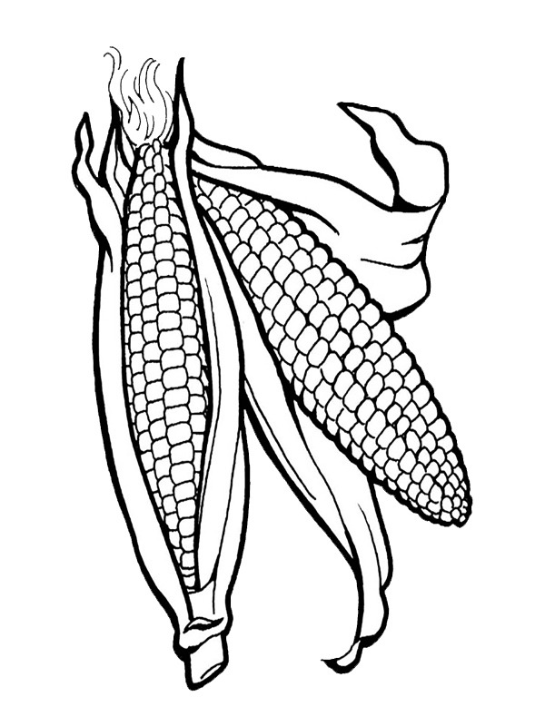 Corn Coloring page