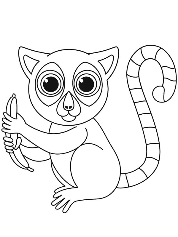 Maki monkey with banana Coloring page Maki monkey with banana Coloring page